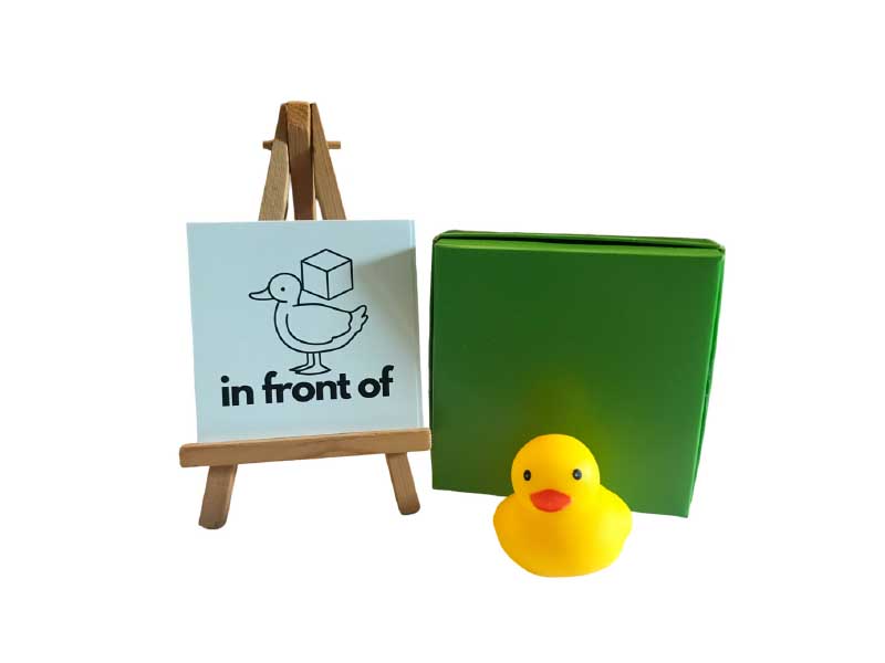 _0000s_0001_Spatial Awareness Duck Kit 2.jpg